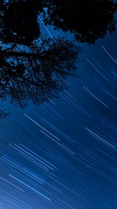 Preview wallpaper starry sky, trees, stars, blur, rotation, long exposure, dark