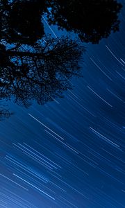 Preview wallpaper starry sky, trees, stars, blur, rotation, long exposure, dark