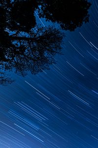 Preview wallpaper starry sky, trees, stars, blur, rotation, long exposure, dark