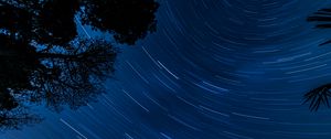 Preview wallpaper starry sky, trees, stars, blur, rotation, long exposure, dark