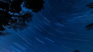 Preview wallpaper starry sky, trees, stars, blur, rotation, long exposure, dark