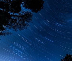 Preview wallpaper starry sky, trees, stars, blur, rotation, long exposure, dark