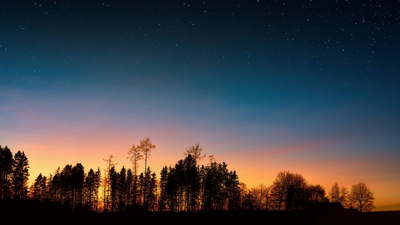 Wallpaper starry sky, trees, sunset, night, forest