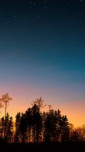 Preview wallpaper starry sky, trees, sunset, night, forest