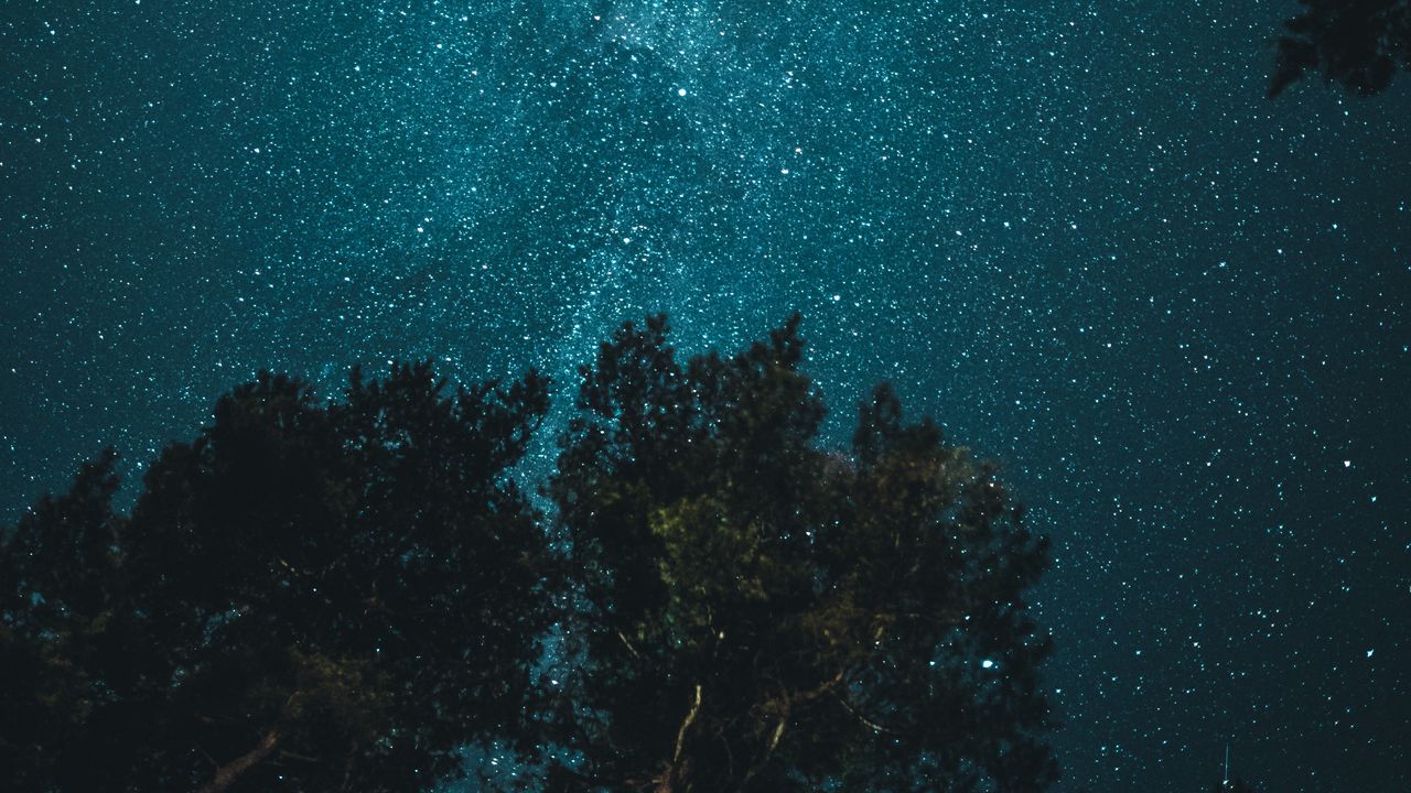 Wallpaper starry sky, trees, view from below, night, branches