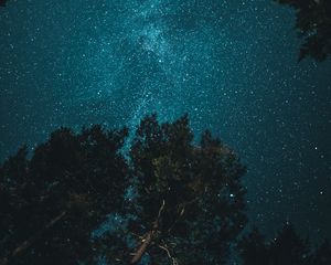 Preview wallpaper starry sky, trees, view from below, night, branches