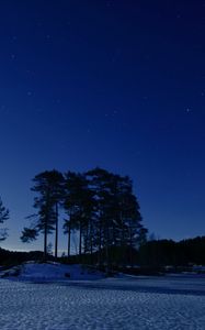 Preview wallpaper starry sky, winter, snow, trees, night, twilight