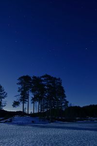 Preview wallpaper starry sky, winter, snow, trees, night, twilight