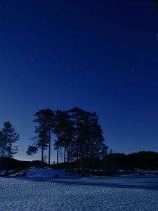 Preview wallpaper starry sky, winter, snow, trees, night, twilight