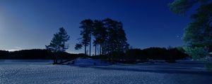 Preview wallpaper starry sky, winter, snow, trees, night, twilight