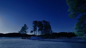 Preview wallpaper starry sky, winter, snow, trees, night, twilight