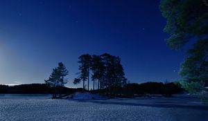 Preview wallpaper starry sky, winter, snow, trees, night, twilight