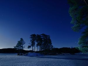 Preview wallpaper starry sky, winter, snow, trees, night, twilight