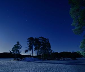 Preview wallpaper starry sky, winter, snow, trees, night, twilight
