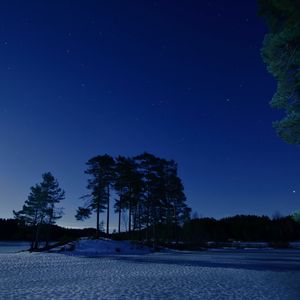 Preview wallpaper starry sky, winter, snow, trees, night, twilight