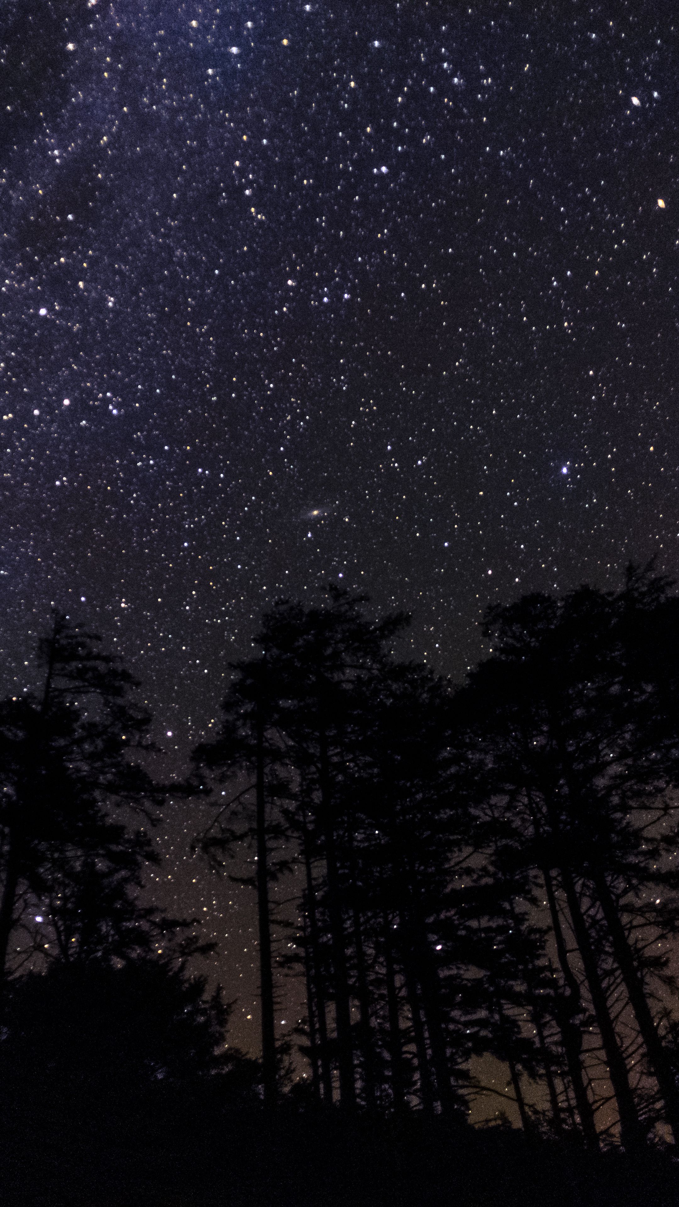 Download wallpaper 2160x3840 stars, constellations, starry sky, night ...