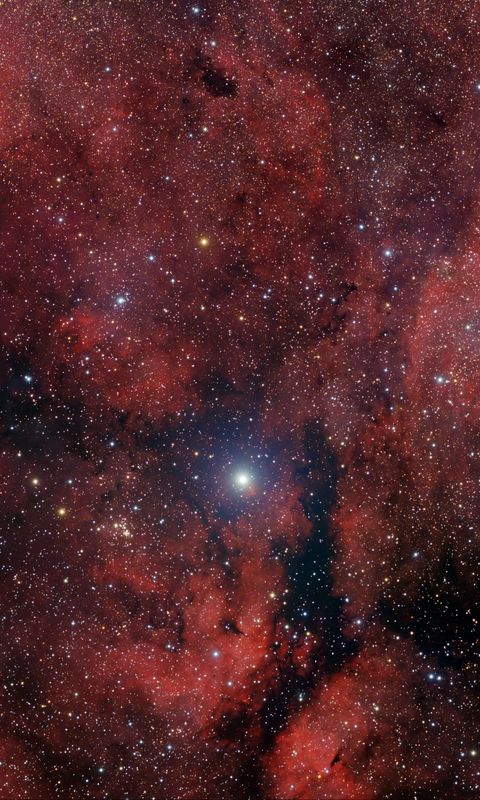 480x800 Wallpaper stars, glitter, nebula, clouds, space, dark