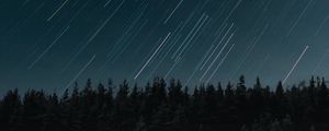 Preview wallpaper stars, long exposure, movement, forest, night