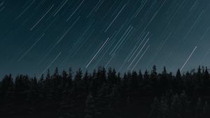 Preview wallpaper stars, long exposure, movement, forest, night