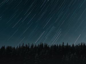 Preview wallpaper stars, long exposure, movement, forest, night