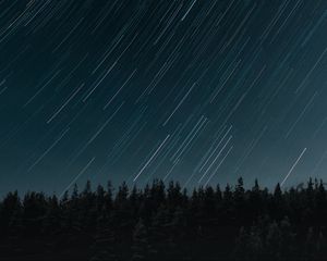 Preview wallpaper stars, long exposure, movement, forest, night