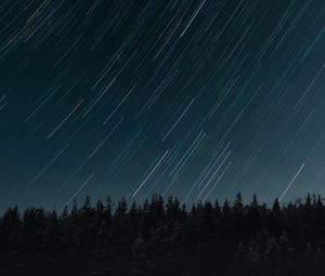 Preview wallpaper stars, long exposure, movement, forest, night