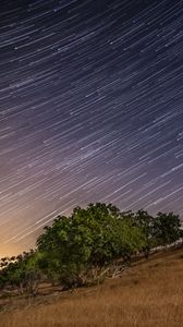 Preview wallpaper stars, long exposure, trees, night, landscape
