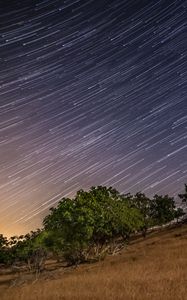 Preview wallpaper stars, long exposure, trees, night, landscape