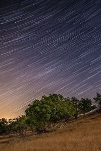 Preview wallpaper stars, long exposure, trees, night, landscape