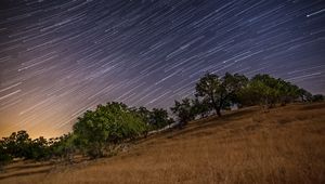 Preview wallpaper stars, long exposure, trees, night, landscape