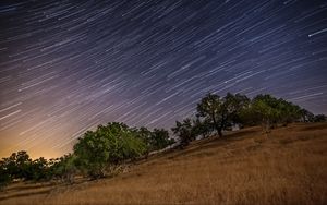 Preview wallpaper stars, long exposure, trees, night, landscape