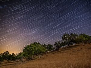 Preview wallpaper stars, long exposure, trees, night, landscape