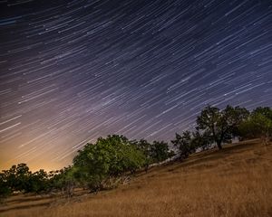 Preview wallpaper stars, long exposure, trees, night, landscape