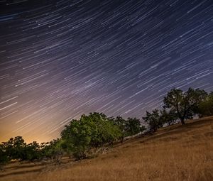 Preview wallpaper stars, long exposure, trees, night, landscape