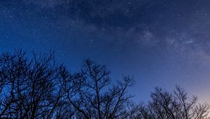 Preview wallpaper stars, milky way, trees, branches, night, dark