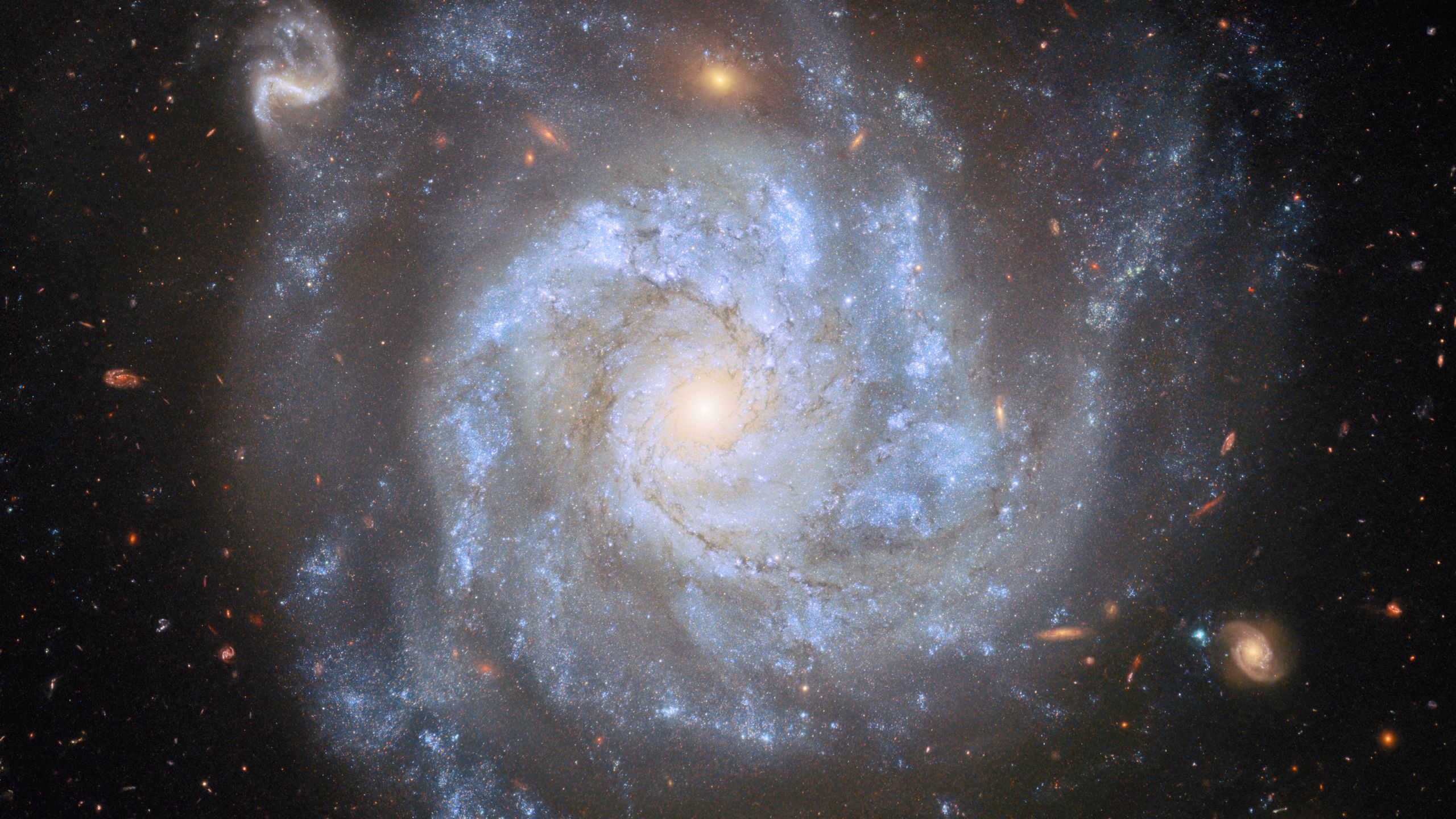 2560x1440 Wallpaper stars, nebula, space, spiral