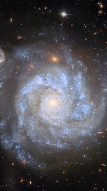 360x640 Wallpaper stars, nebula, space, spiral