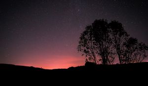 Preview wallpaper stars, night, trees, silhouettes, dark