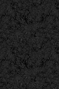 Preview wallpaper stars, patterns, black, texture, ornament