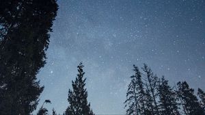 Preview wallpaper stars, sky, forest, trees, night, nature