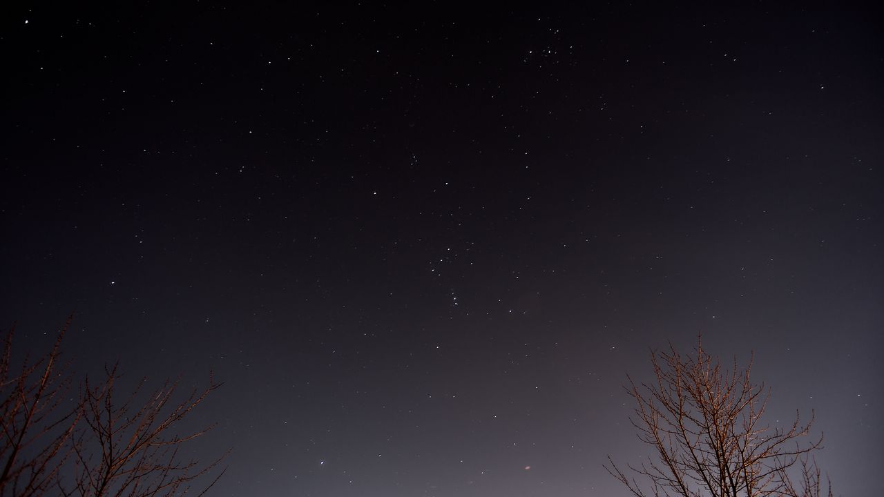 Wallpaper stars, sky, night, tree, nature
