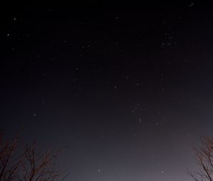 Preview wallpaper stars, sky, night, tree, nature