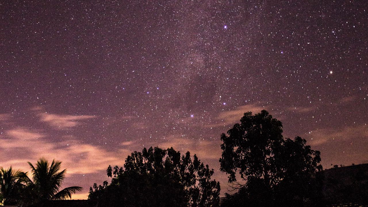 Wallpaper stars, sky, night, trees, silhouettes