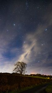 Preview wallpaper stars, sky, night, tree, nature, landscape