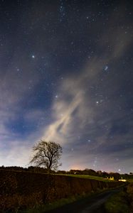 Preview wallpaper stars, sky, night, tree, nature, landscape