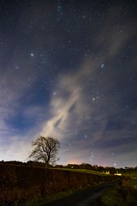 Preview wallpaper stars, sky, night, tree, nature, landscape