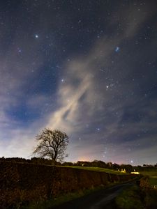 Preview wallpaper stars, sky, night, tree, nature, landscape