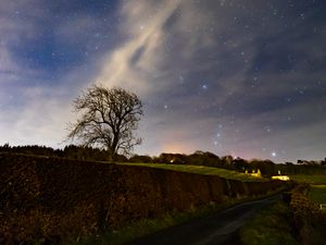 Preview wallpaper stars, sky, night, tree, nature, landscape
