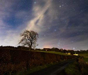 Preview wallpaper stars, sky, night, tree, nature, landscape