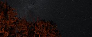 Preview wallpaper stars, sky, night, trees, backlight, dark